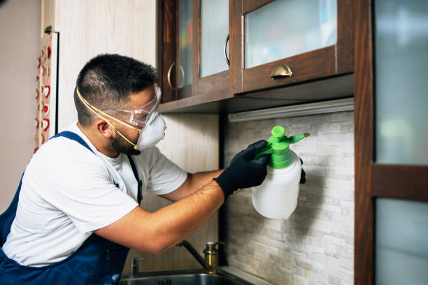 Best Wasp Removal Services  in Golden Glades, FL