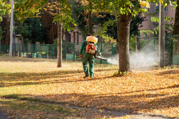 Best Termite Control Services  in Golden Glades, FL