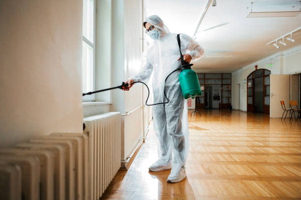 Best Pest Removal Services  in Golden Glades, FL